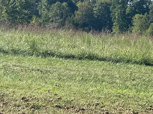 8 Egypt Mills Rdg, Cape Girardeau, MO 63701