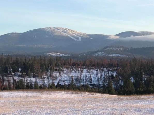 41900 N Darknell Rd, Elk, WA 99009