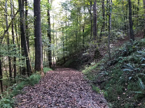 0 Off Scary Crk, Chloe, WV 25235