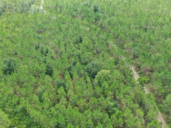 1050 James Bethea Rd, Perry, FL 32348