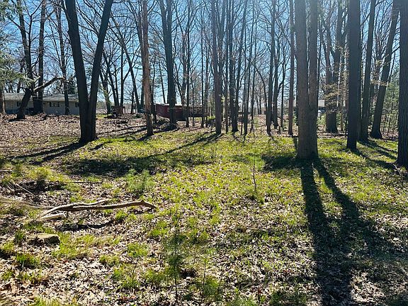 5th image of 361 E Piney Rd