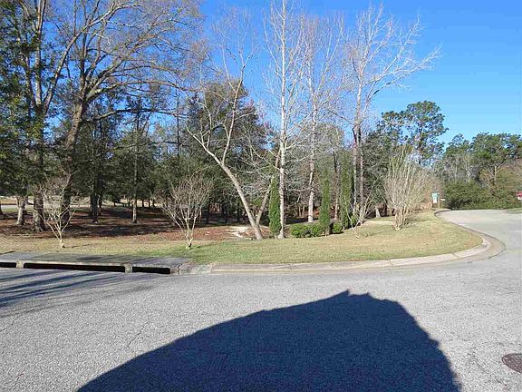 4th image of 1908 Pinebrake Ln