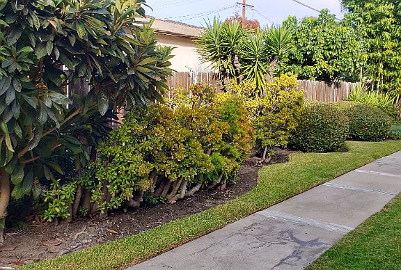 3rd image of 724 S Old Ranch Rd #B