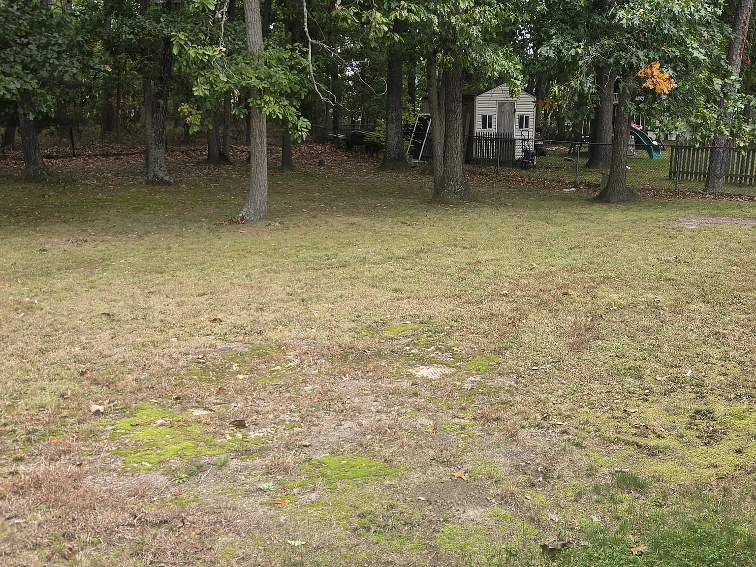4 bed, 2000 sqft, $4,000 — Photo 3