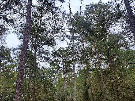 2nd image of Nw Timucua Drive
