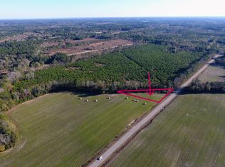 0 Rocks Pond Rd Lot X, Eutawville, SC 29048