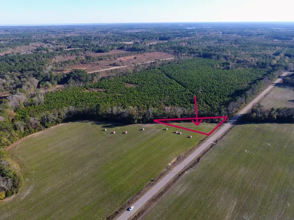 0 Rocks Pond Rd Lot X, Eutawville, SC 29048
