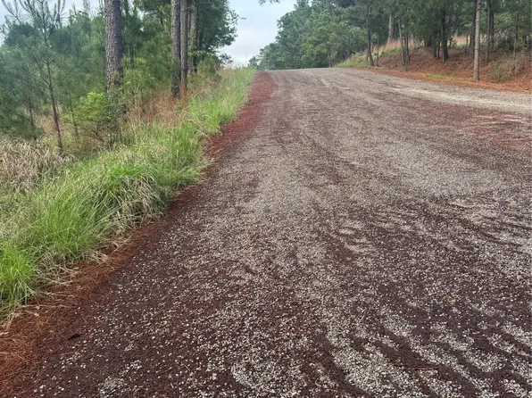 Lots 1490 1491 1492 Haleakala, Bastrop, TX 78602