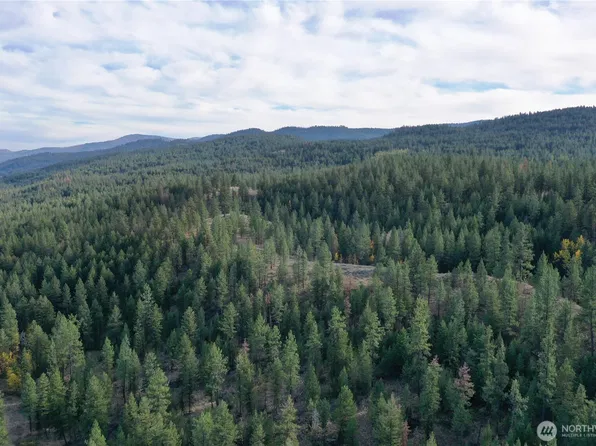 9 Marmot Alley Road, Tonasket, WA 98855