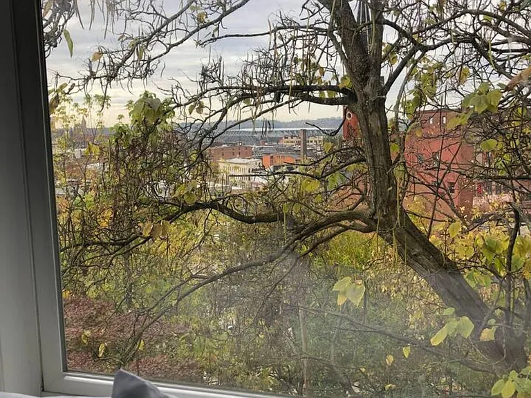 Window View
