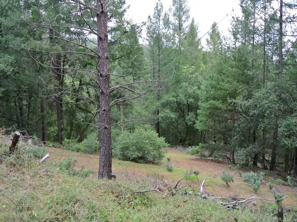 64 Grand View Ave, Colfax, CA 95713