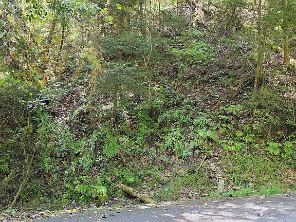 5th image of LOT 5 Sugar Maple Loop Rd