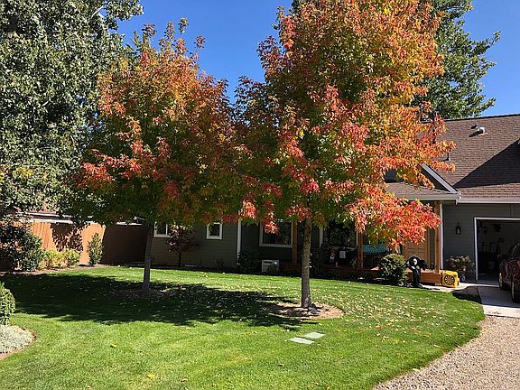 4th image of 4816 N Pierce Park Ln
