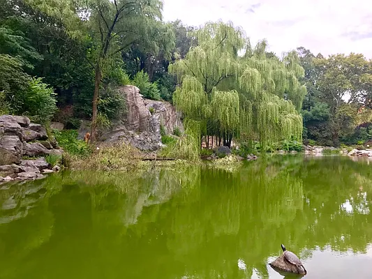 Rented by Keyo  | media 59