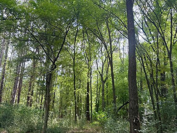 4th image of LOT 338 Grand View Dr