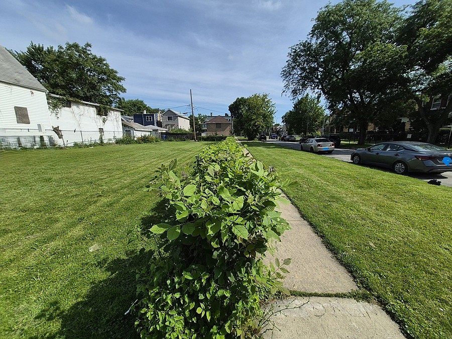 2nd image of 5404 W Walton St