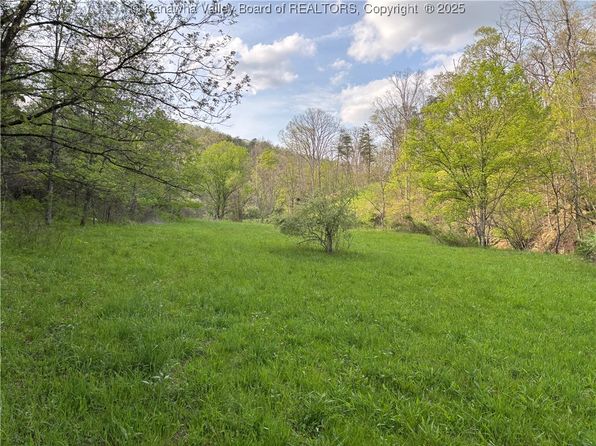 621 Three Mile Rd, Brohard, WV 26138