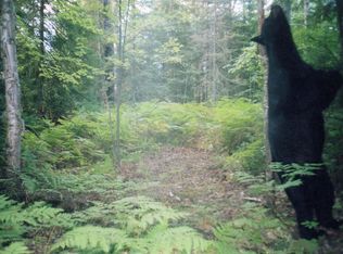 182 On Hwy, Park Falls, WI 54552