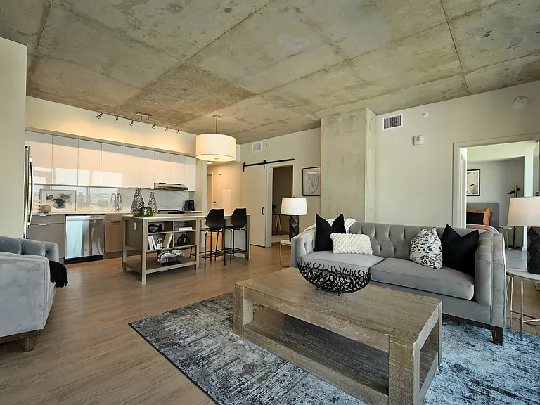 Three Light Luxury Apartments — Photo 39