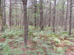 2 Bear Rd, Warrens, WI 54666