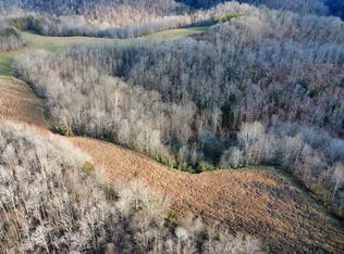 104 Ramey Br, Volga, KY 41219