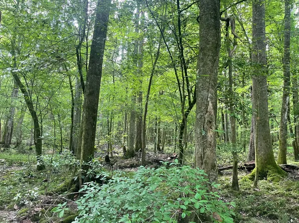 Clem Rd, Prentiss, MS 39474