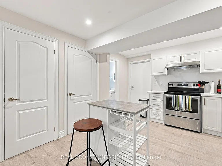 133 Elephant Hill Dr #BASEMENT — Photo 3