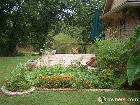 Back yard little garden area