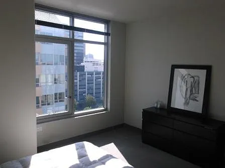 425 W Beech St #1301 — Photo 16