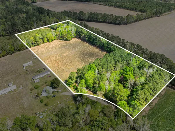 6.5 Acres Christine Pl., Hemingway, SC 29554
