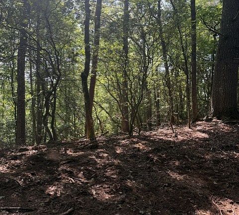 3rd image of 150 Wayah Rd