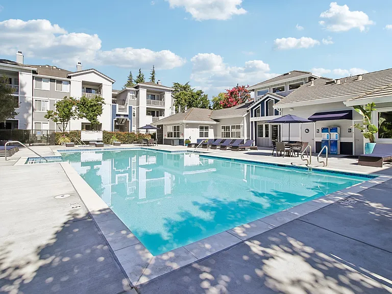Pool and Spa