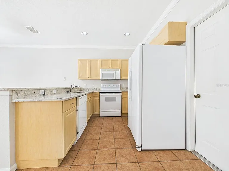 16310 Fairford Palms Ct — Photo 9