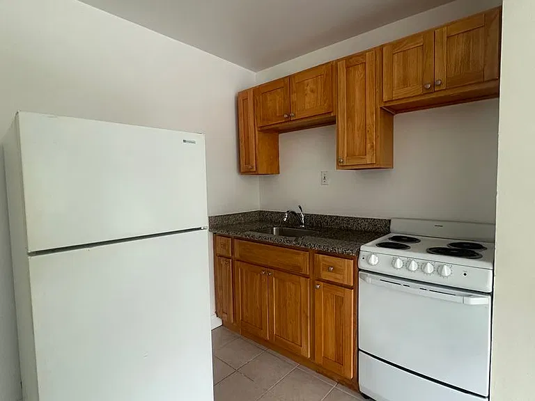 029 (2199 Turk) — Photo 3