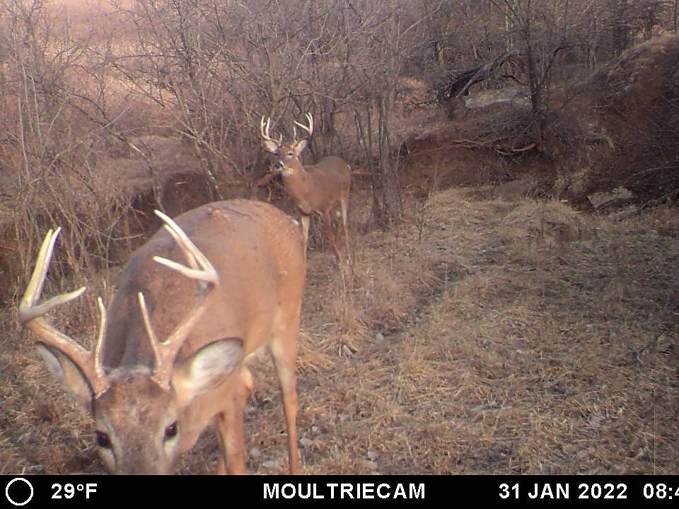 0 102nd Rd, Hoyt, KS 66440 Zillow