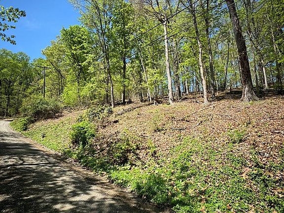 4th image of 121 Timber Ln