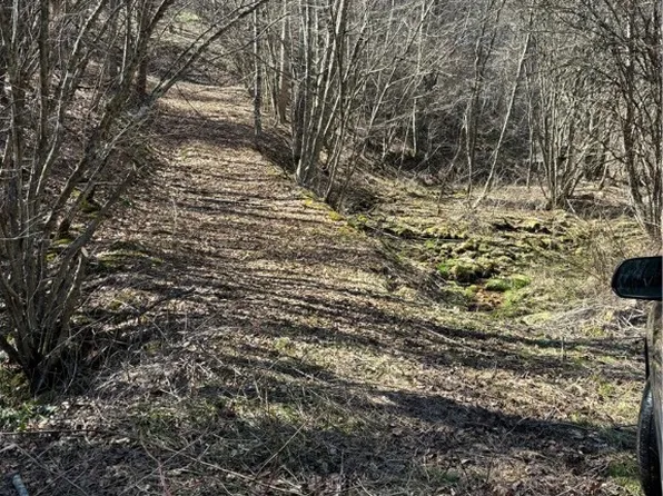 TBD Crestview Drive East Drive, Creston, NC 28615