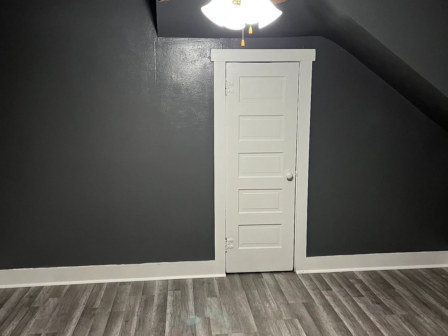 1 bed, $800 — Photo 3