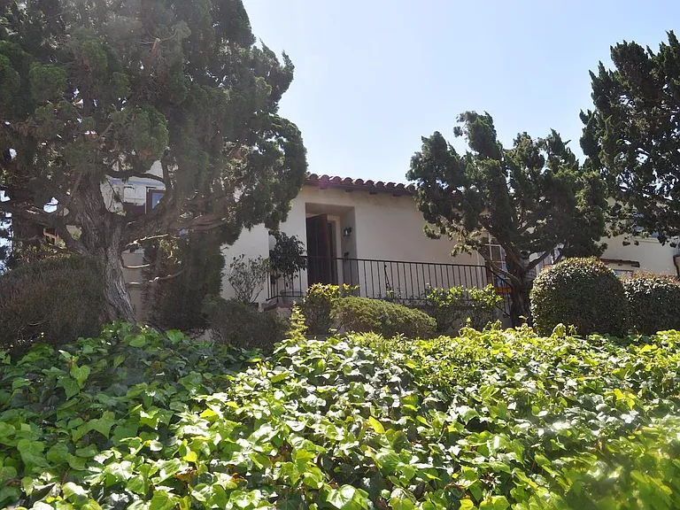 4319 Arista St — Photo 1