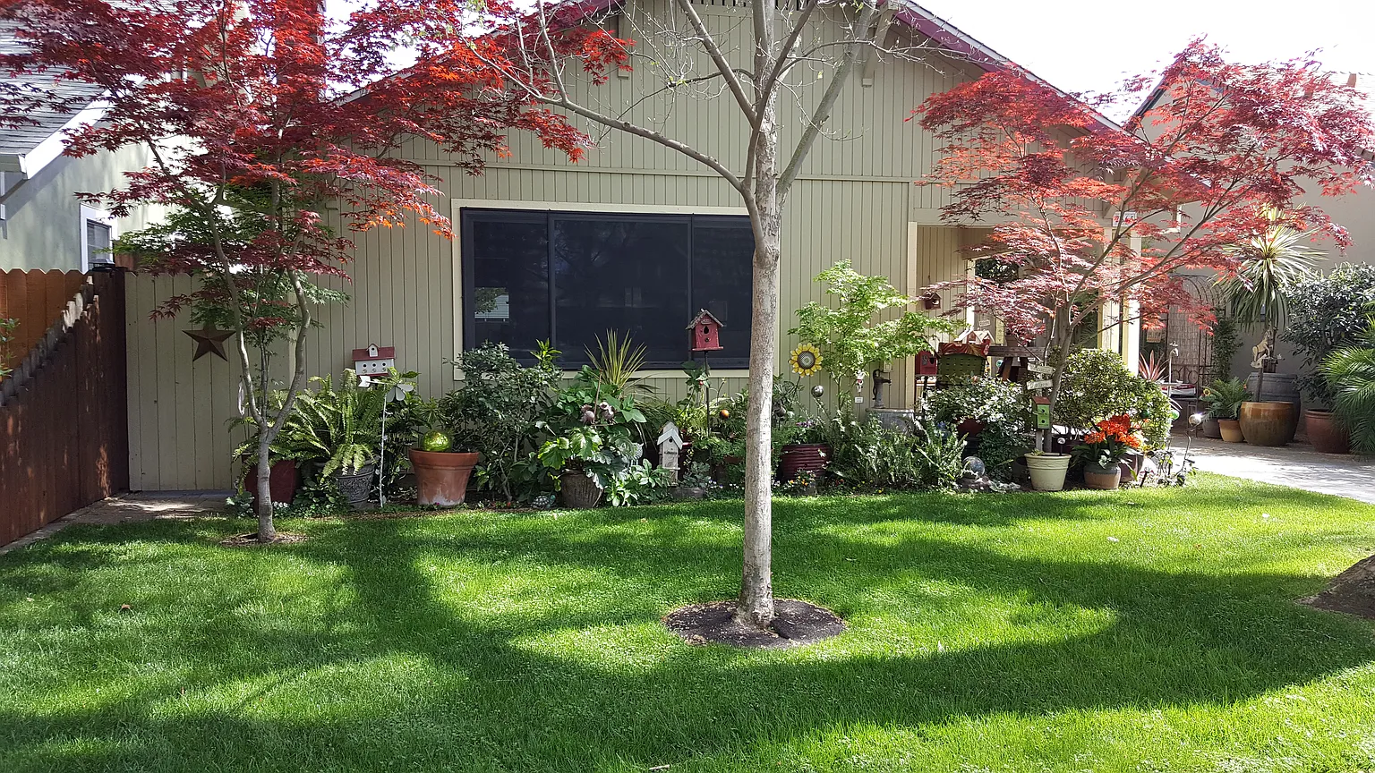 2665 Harkness St photo 1