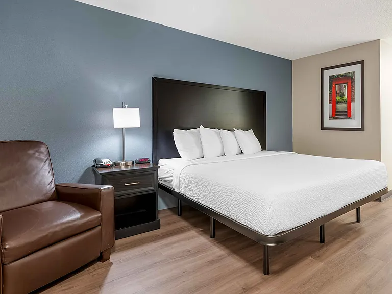 Studio Suite - 1 King Bed
