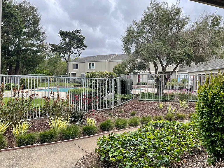 1281 Rosita Rd — Photo 11