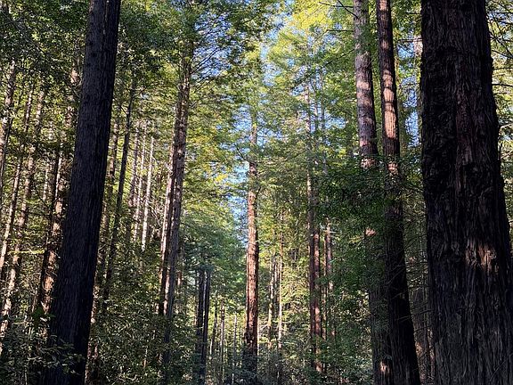 4th image of 45400 Bill Owens Road