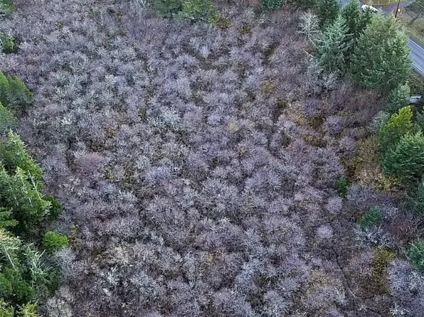 0 Pacific (WA-103) Highway, Long Beach, WA 98631