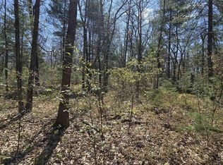 S Locust Ave, White Cloud, MI 49349