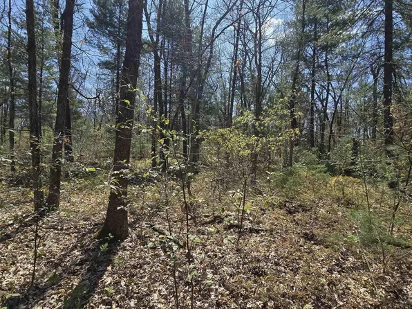 S Locust Ave, White Cloud, MI 49349