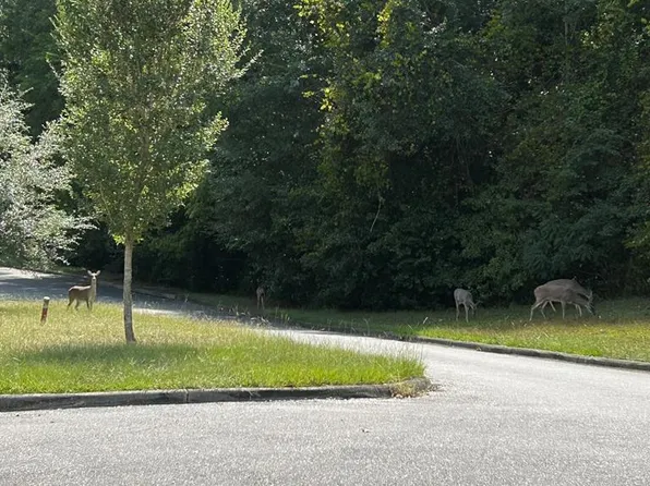 28 Cypress Cove Dr, Eufaula, AL 36027