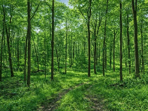 Lt0 LITTLE ELKHART LAKE ROAD, Elkhart Lake, WI 53020