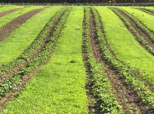 1641 Shaw Rd, Lodi, NY 14860