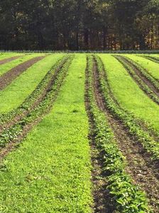 1641 Shaw Rd, Lodi, NY, 14860